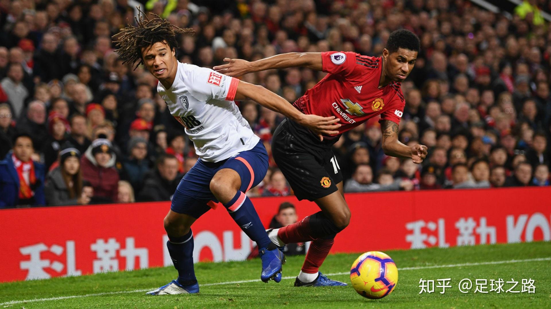 展示了一条 展示了一条